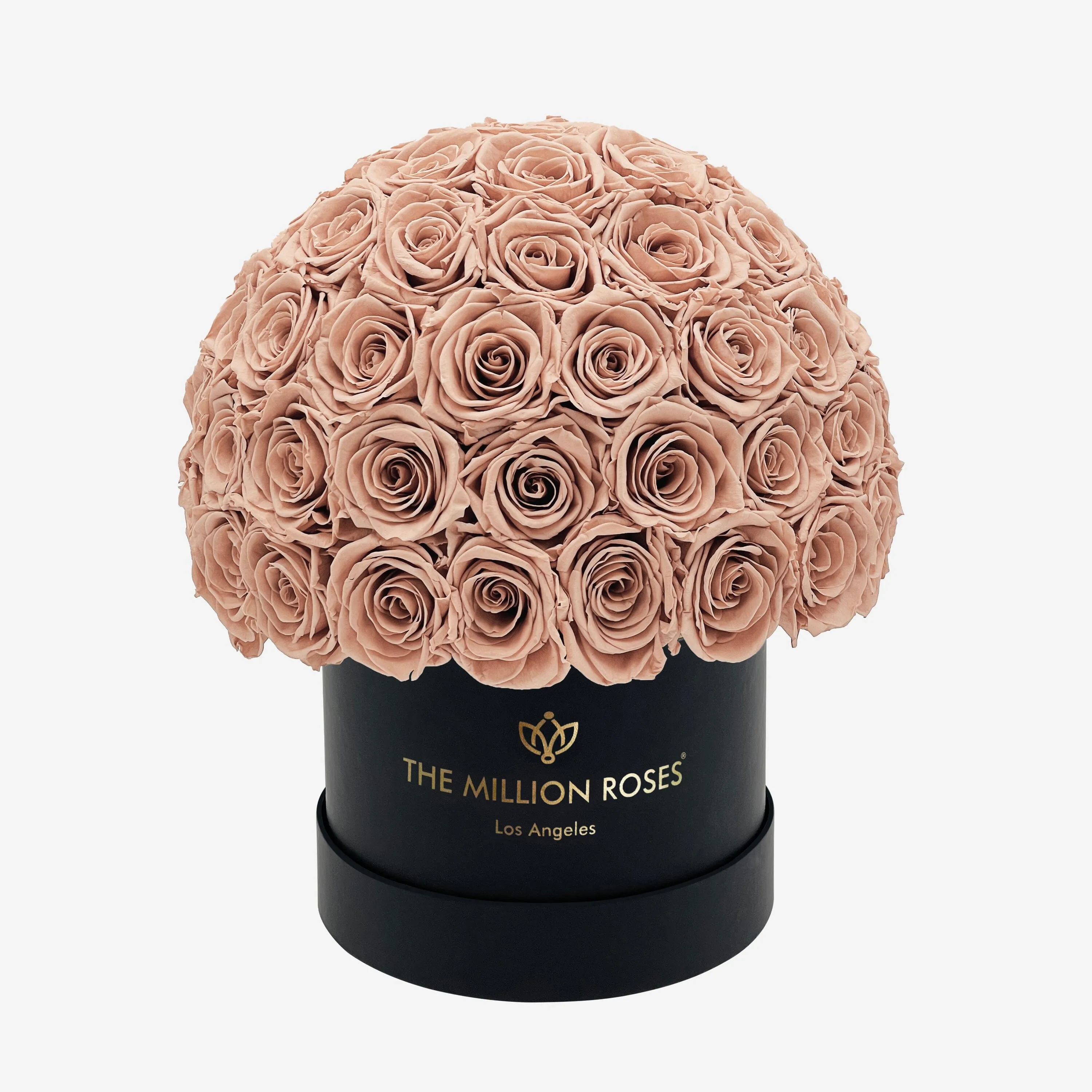 Classic Black Superdome Box | Sand Roses