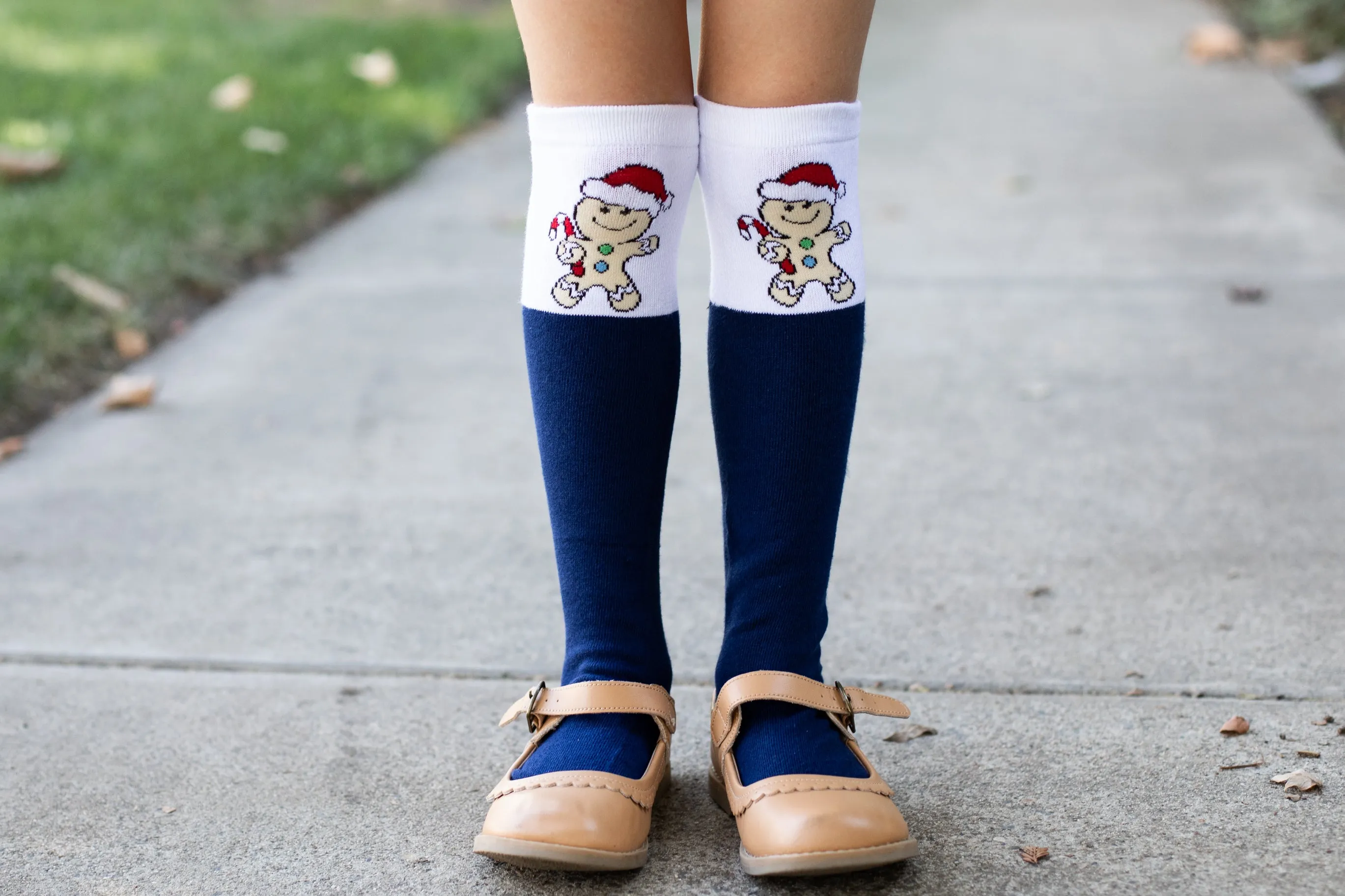 GINGERBREAD MAN SOCKS