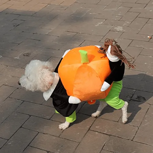 HalloPooch® Pumpkin Halloween Dog Costume