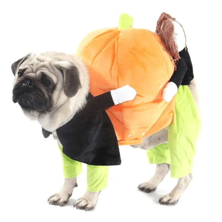 HalloPooch® Pumpkin Halloween Dog Costume