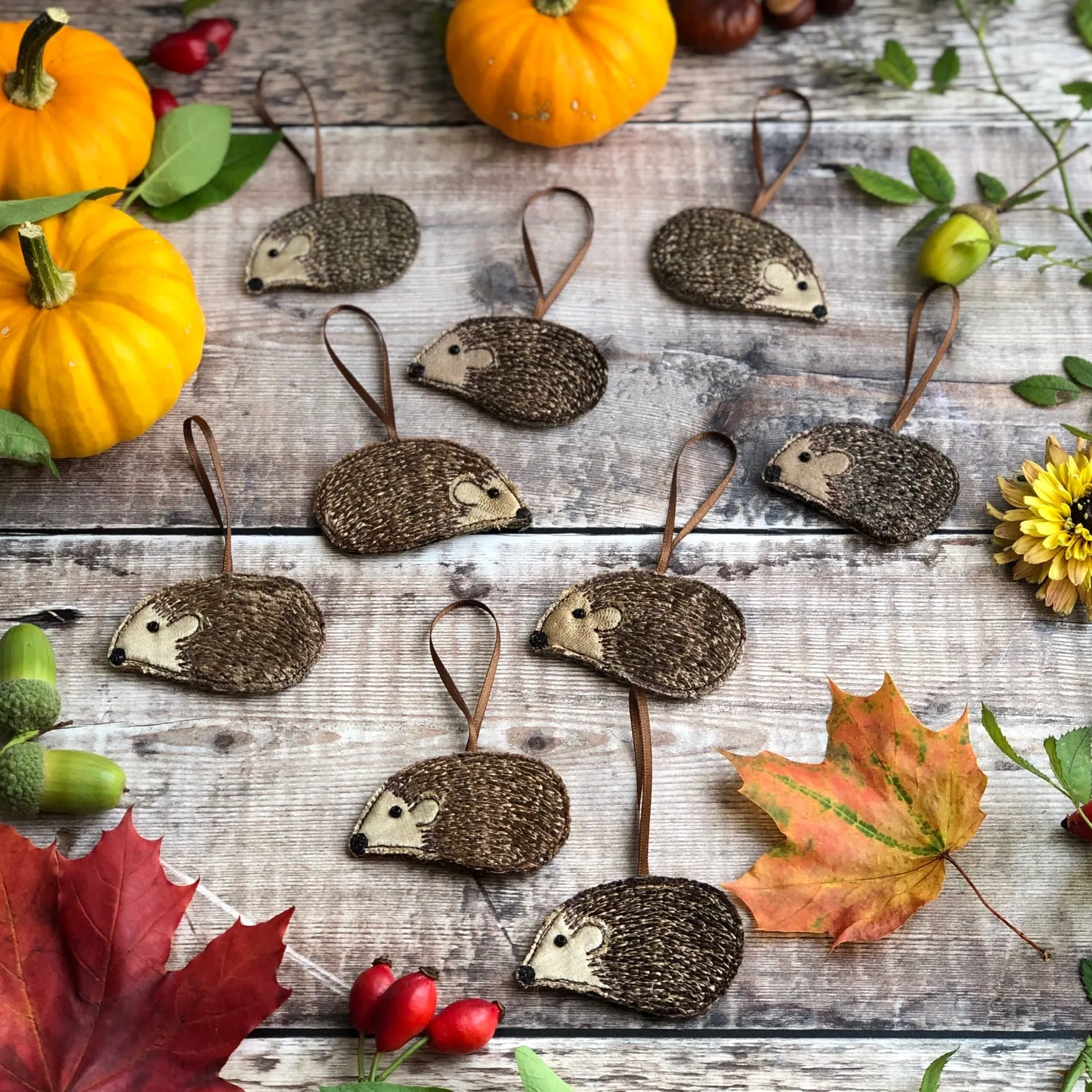 Hanging hedgehogs