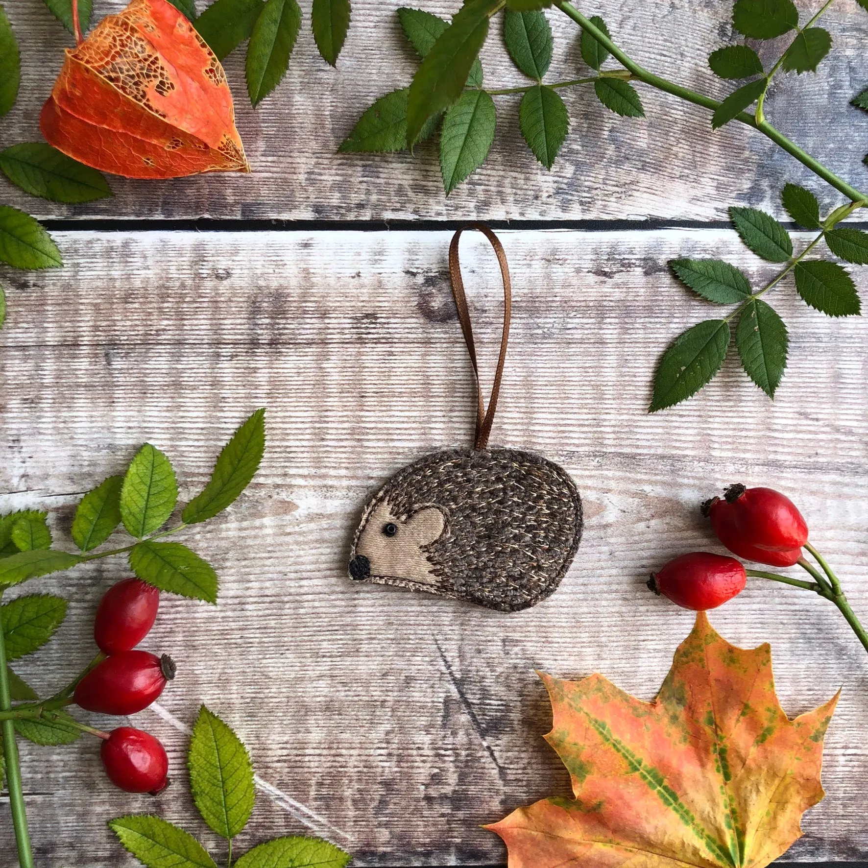 Hanging hedgehogs